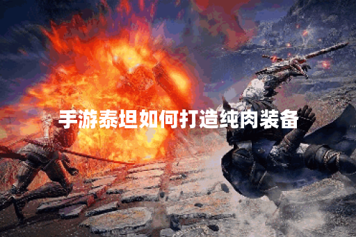 手游泰坦如何打造纯肉装备？纯肉装配置方法详解