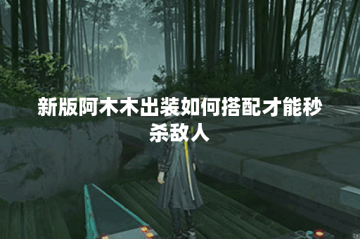 新版阿木木出装如何搭配才能秒杀敌人？如何选择装备实现高效秒人？