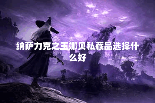 纳萨力克之王娜贝私藏品选择什么好