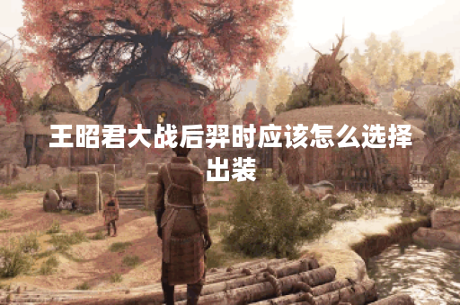 王昭君大战后羿时应该怎么选择出装？后羿对战王昭君的最佳出装搭配是什么？