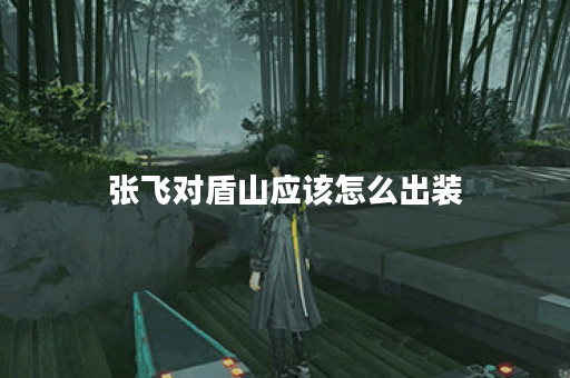 张飞对盾山应该怎么出装?盾山面对张飞该如何搭配装备?