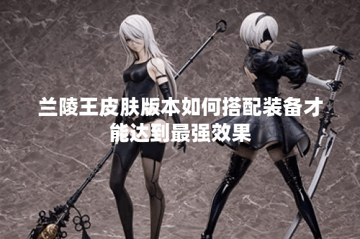 兰陵王皮肤版本如何搭配装备才能达到最强效果？