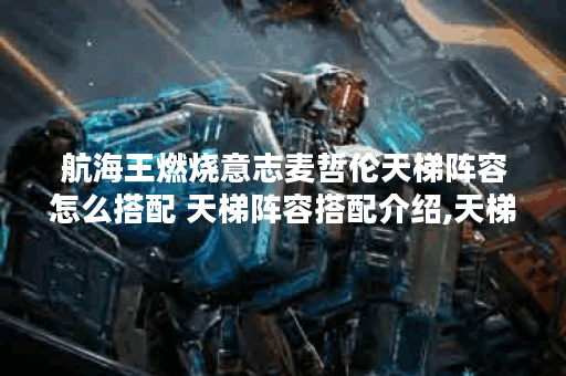 航海王燃烧意志麦哲伦天梯阵容怎么搭配 天梯阵容搭配介绍,天梯资讯