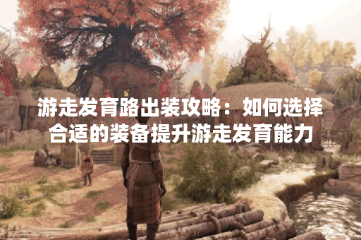 游走发育路出装攻略：如何选择合适的装备提升游走发育能力？
