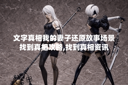 文字真相我的妻子还原故事场景找到真相攻略,找到真相资讯