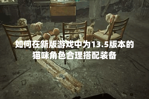 如何在新版游戏中为13.5版本的猫咪角色合理搭配装备？