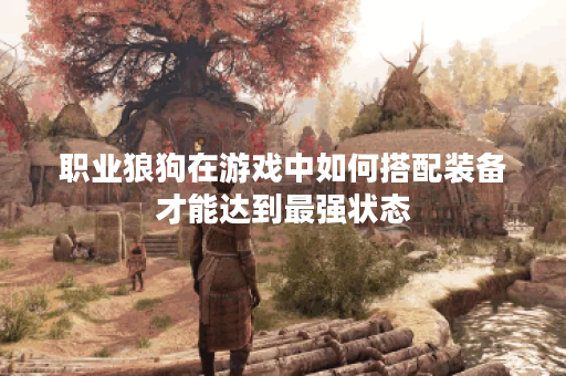 职业狼狗在游戏中如何搭配装备才能达到最强状态？