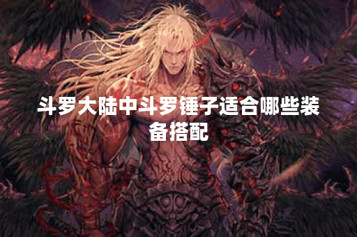 斗罗大陆中斗罗锤子适合哪些装备搭配？如何进行出装选择？