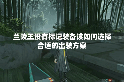 兰陵王没有标记装备该如何选择合适的出装方案？