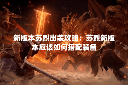 新版本苏烈出装攻略：苏烈新版本应该如何搭配装备？
