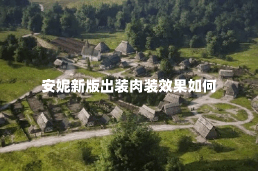 安妮新版出装肉装效果如何？肉装搭配是否合适？