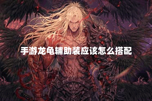手游龙龟辅助装应该怎么搭配？龙龟出装辅助装备有哪些？