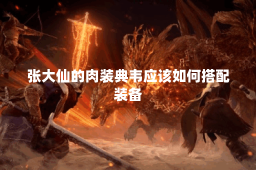 张大仙的肉装典韦应该如何搭配装备？