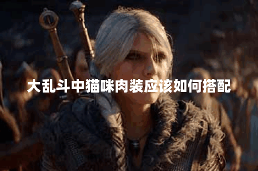 大乱斗中猫咪肉装应该如何搭配？猫咪肉装出装攻略分享