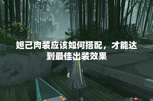 妲己肉装应该如何搭配，才能达到最佳出装效果？