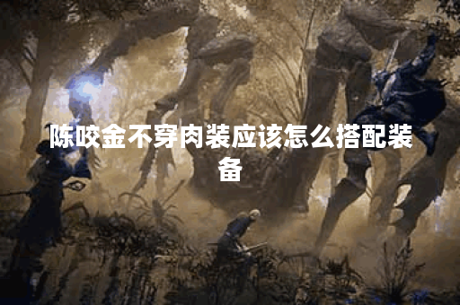 陈咬金不穿肉装应该怎么搭配装备？如何优化陈咬金出装策略？