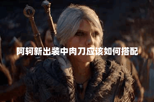 阿轲新出装中肉刀应该如何搭配？肉刀出装顺序是怎样的？
