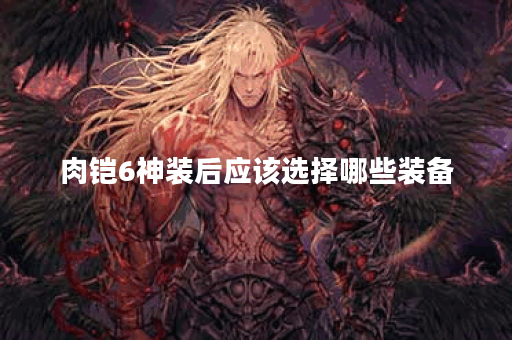 肉铠6神装后应该选择哪些装备？如何搭配出装以最大化肉铠6神装的效果？