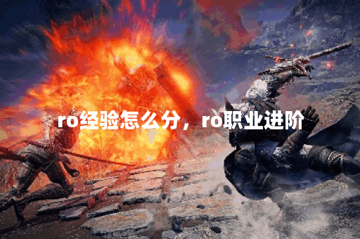 ro经验怎么分，ro职业进阶