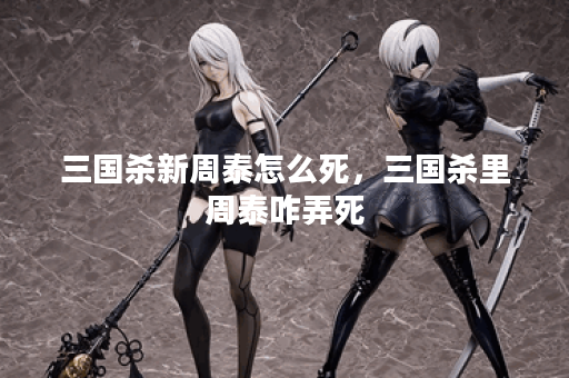三国杀新周泰怎么死,三国杀里周泰咋弄死
