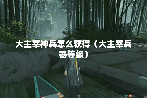 大主宰神兵怎么获得（大主宰兵器等级）