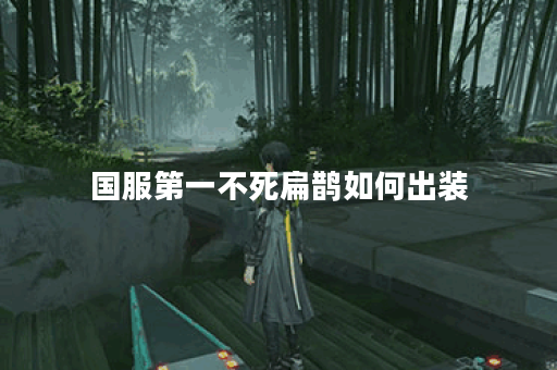 国服第一不死扁鹊如何出装？最佳装备推荐是什么？