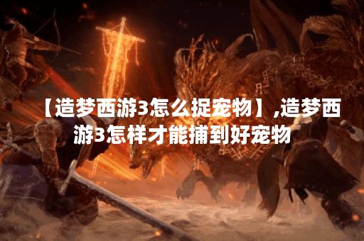 【造梦西游3怎么捉宠物】,造梦西游3怎样才能捕到好宠物