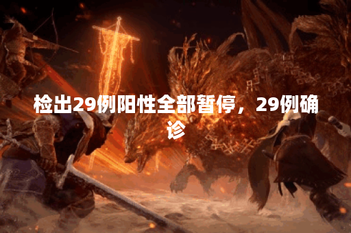 检出29例阳性全部暂停，29例确诊