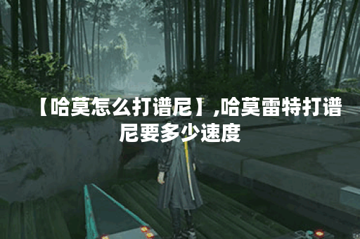 【哈莫怎么打谱尼】,哈莫雷特打谱尼要多少速度