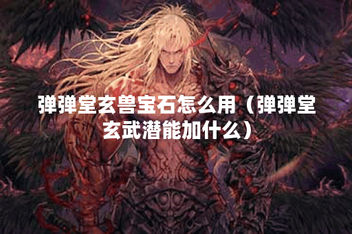 弹弹堂玄兽宝石怎么用（弹弹堂玄武潜能加什么）