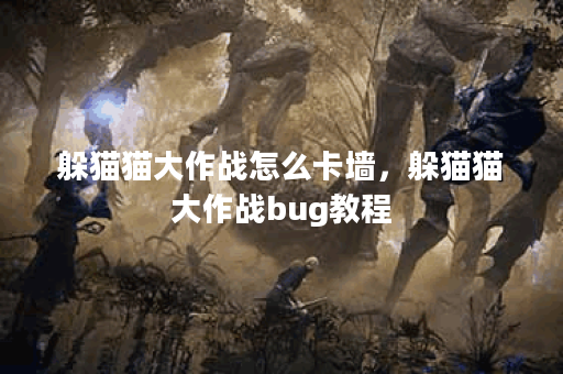 躲猫猫大作战怎么卡墙，躲猫猫大作战bug教程