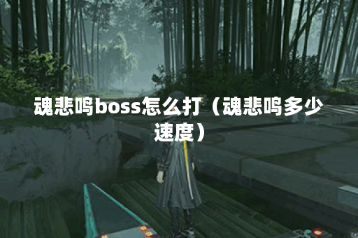 魂悲鸣boss怎么打(魂悲鸣多少速度) 魂悲鸣boss怎么打(魂悲鸣多少速度)