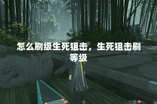 怎么刷级生死狙击，生死狙击刷等级