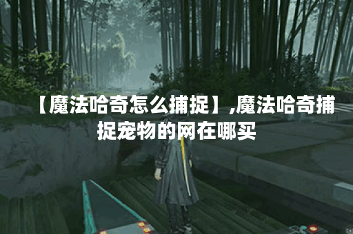 【魔法哈奇怎么捕捉】,魔法哈奇捕捉宠物的网在哪买