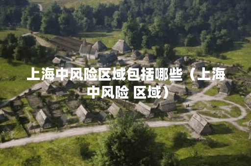 上海中风险区域包括哪些（上海 中风险 区域）