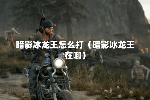 暗影冰龙王怎么打(暗影冰龙王在哪)