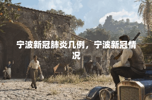 宁波新冠肺炎几例,宁波新冠情况