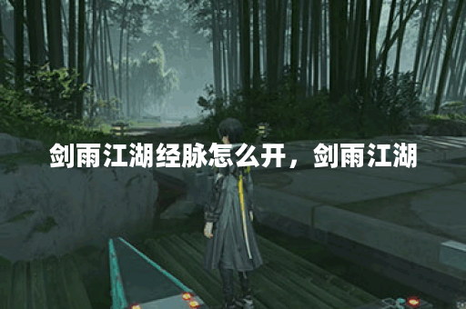 剑雨江湖经脉怎么开，剑雨江湖