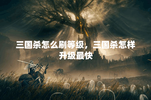 三国杀怎么刷等级，三国杀怎样升级最快