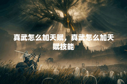 真武怎么加天赋，真武怎么加天赋技能