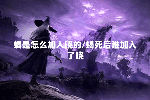 蝎是怎么加入晓的/蝎死后谁加入了晓