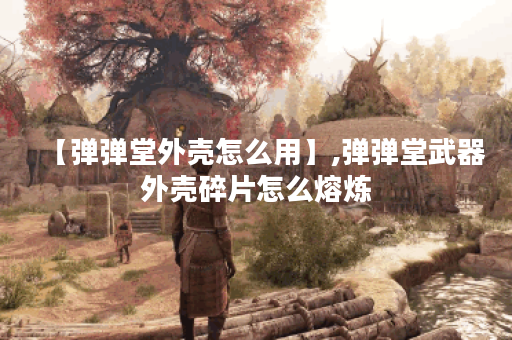 【弹弹堂外壳怎么用】,弹弹堂武器外壳碎片怎么熔炼