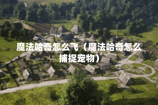 魔法哈奇怎么飞（魔法哈奇怎么捕捉宠物）