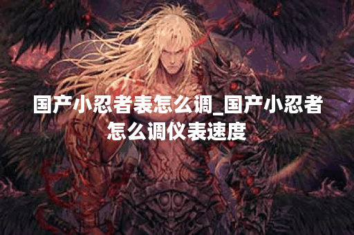 国产小忍者表怎么调_国产小忍者怎么调仪表速度