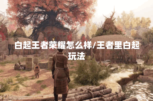 白起王者荣耀怎么样/王者里白起玩法