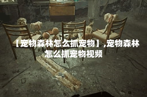 【宠物森林怎么抓宠物】,宠物森林怎么抓宠物视频