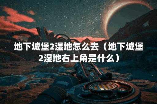 地下城堡2湿地怎么去（地下城堡2湿地右上角是什么）