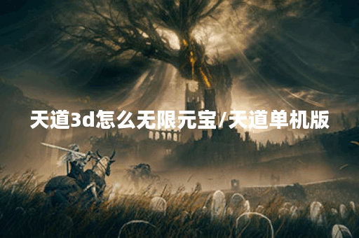天道3d怎么无限元宝/天道单机版