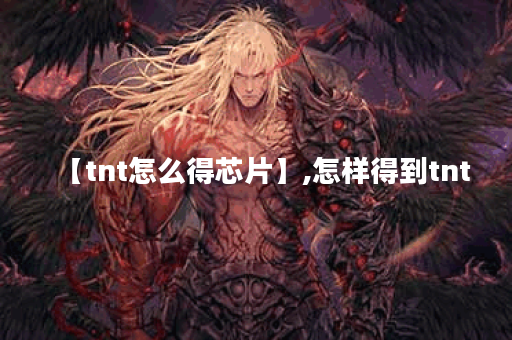 【tnt怎么得芯片】,怎样得到tnt