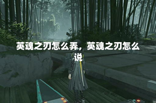 英魂之刃怎么弄，英魂之刃怎么说